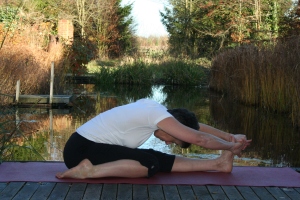 alt=iyengar yoga pose triangmukhaikapada pascimottanasana